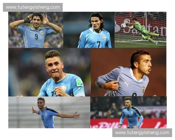 聚焦乌拉圭亮点的2026世界杯热门赛程全景深度观察报道专辑解